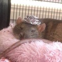 мари нах ❤️🔥 (@deadly_valley) 's Twitter Profile