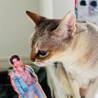 LOVE💜SUNRIKU🩵💚 (@mayuko0616memi) 's Twitter Profile Photo