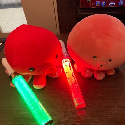 cephalopodhero's profile picture. タコになりたいニンゲン、ニンゲンになりたいタコ、どっちかと分からない。（日本にいるアメリカ人）