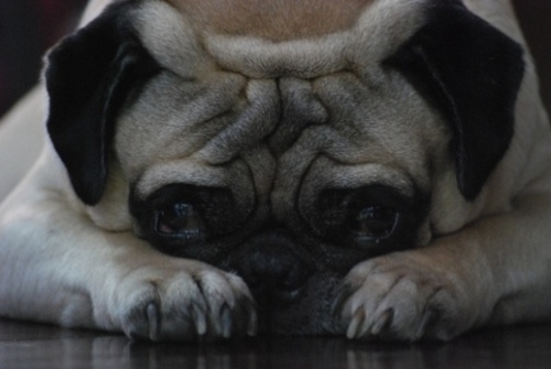 simpleman_a's profile picture. 