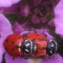 Mark Novick - @movielandmagic - Twitter