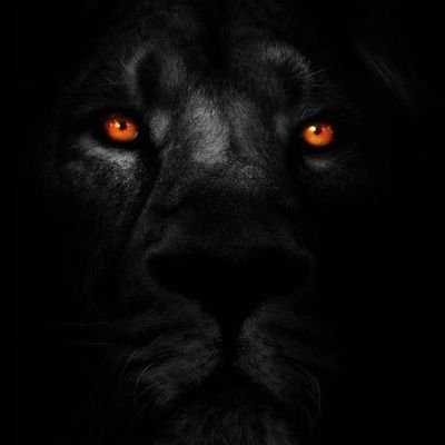 THE WILL MUST BE STRONGER THAN THE SKILL
                                         -muhammed ali-