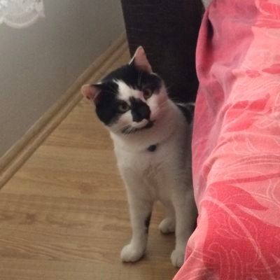 continuetoblack's profile picture. Beyazı bulana kadar Siyaha dewam...