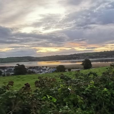 heylilstinkers's profile picture. 