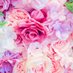 M (@mymemory0924) Twitter profile photo M (@mymemory0924) Twitter profile photo