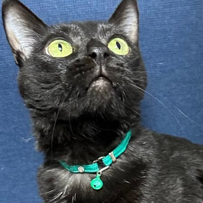 まろさんのプロフィール画像