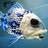 fishtaco1's profile image