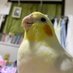 からし種 (@yumeoibito2358) Twitter profile photo からし種 (@yumeoibito2358) Twitter profile photo