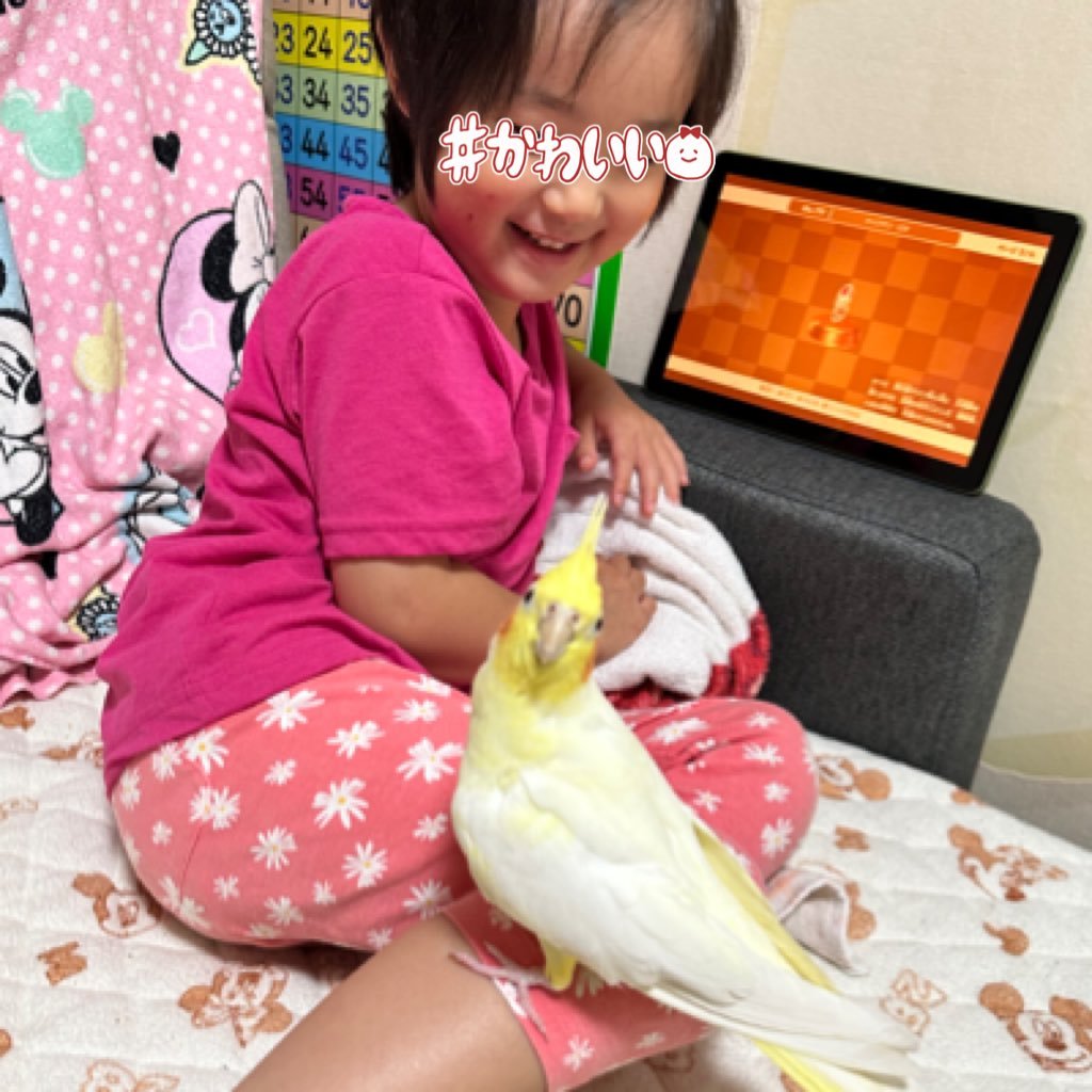 👩30代半ば 都内出身→大阪在住/万年鍵🔑 無言フォロー失礼します🙇♀️ フォロバしてもらえたら🥰 #2018oct_baby