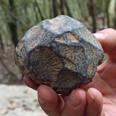 aagprehistoria's profile picture. Associació Arqueològica de Girona (Catalunya)