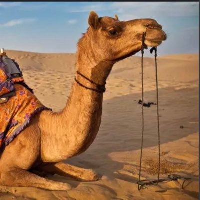 manama4756's profile picture. 