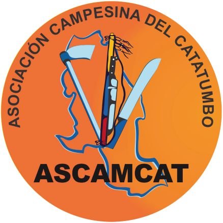 AscamcatOficia Profile Picture