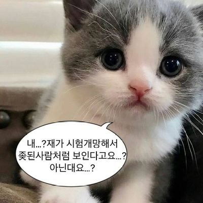 💕잭납💕 / 짹짹이 타 컾 & 리버스 제외 HL, GL, BL, 논컾 다 처먹어요👍 / 여러분들이 뭘 먹든 신경쓰지 않습니다❣ / 같이 먹어요^-^♡