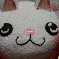 のんのんページ 楽天市場】8月最大1,000円OFFクーポン 【特殊紙】トーンF 160kg