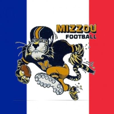 🇨🇵💛🐯🖤Compte fan français  non officiel des Missouri Tigers💛🐯🖤🇨🇵