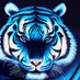 Rahul Yadav (@soccer_ego) Twitter profile photo Rahul Yadav (@soccer_ego) Twitter profile photo
