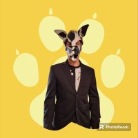 Lyco the husky (@lyco_ad) 's Twitter Profile