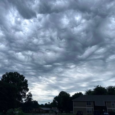 donelson_drew's profile picture. 