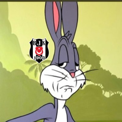 besiktassocials's profile picture. bizim hayatımız Beşiktaş… 🤍🖤🦅