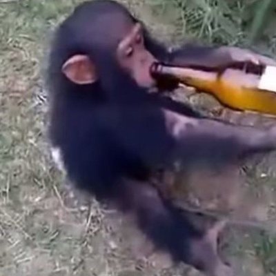 https://t.co/9KllNEmMkR | League Of Legends | Guitarist | Jungler for ... | D1 jungle main