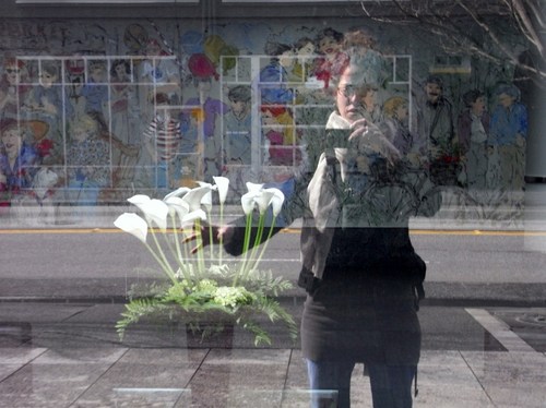 lasinapsi's profile picture. 