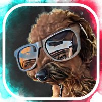 Mc.Poodle@オリパ (@mcpoodle_02) 's Twitter Profile