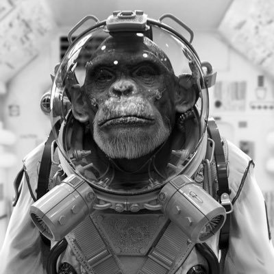 ldpdl30824's profile picture. 