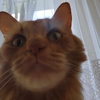 VeeonOskar's profile picture. 