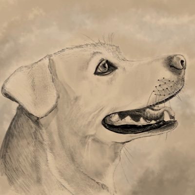 Actor, Director, Writer, Animator, Illustrator, Dog Dad https://t.co/VCgvJPC91j #Willco #Williverse