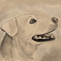 Will Conlon 🇨🇦 (@willconlon) 's Twitter Profile Photo Will Conlon 🇨🇦 (@willconlon) 's Twitter Profile Photo