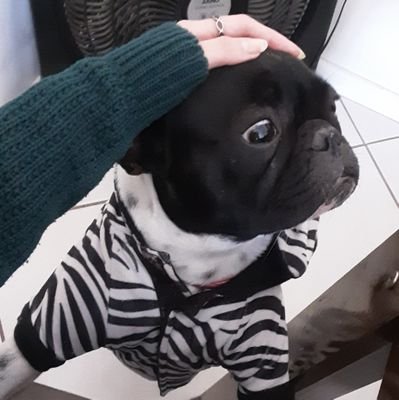doida maluca