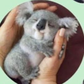 anamariamadero's profile picture. Republicana