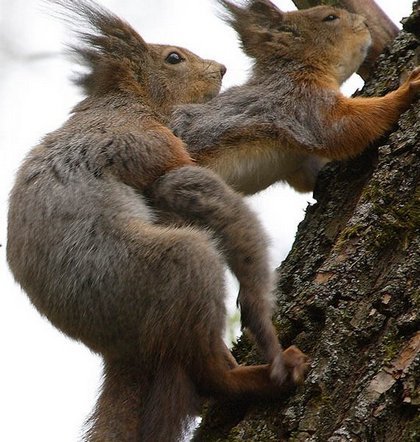 _antibot's profile picture. 