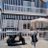 andreamouri1405's profile image