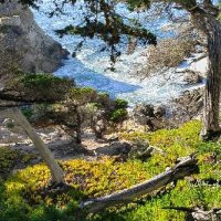 Calen Lybarger (@calen1952) 's Twitter Profile