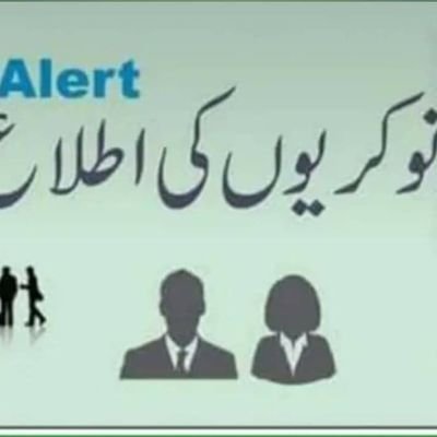 bodl73186's profile picture. 