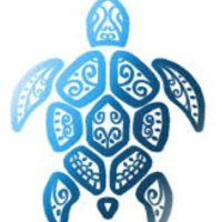 Blueturtle_67 (@blueturtle_67) 's Twitter Profile