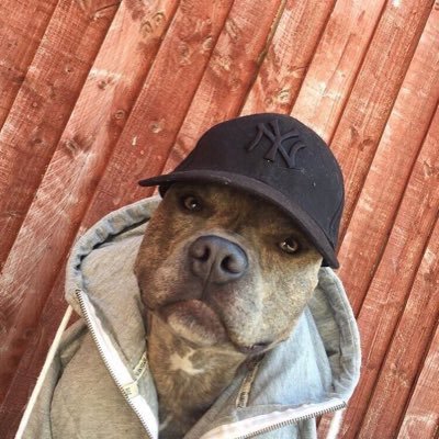 Ayebeybey2K's profile picture. 