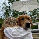 Cheryl Connor - @CherylConn403 - Twitter