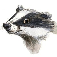 Boris Badger(@MikeMcDevitt9) 's Twitter Profile Photo