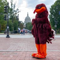 DC Area Student Life (@hokieonestopdc) 's Twitter Profile Photo
