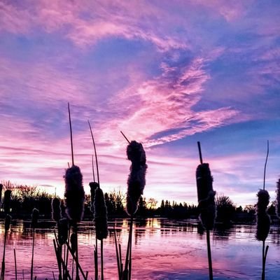 AlisonB7118's profile picture. Alberta, anti fascist, autistic, ptsd, DID, nature , photography , scapegoat in Christo fascist family. 💥#Escapegoat