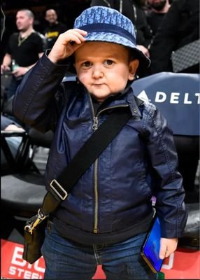 Alelol05995432's profile picture. ...