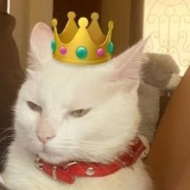 lochicanessa's profile picture. 