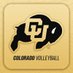 Colorado Buffaloes Volleyball (@CUBuffsVB) Twitter profile photo