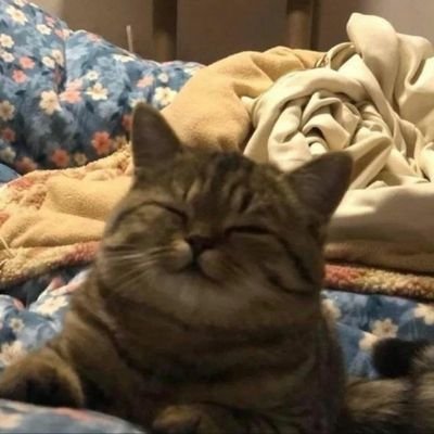 marianeryss's profile picture. 