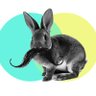pabloohb's profile picture. 