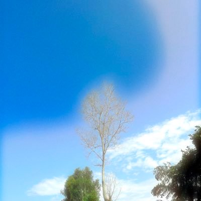 hishamaju8's profile picture. 