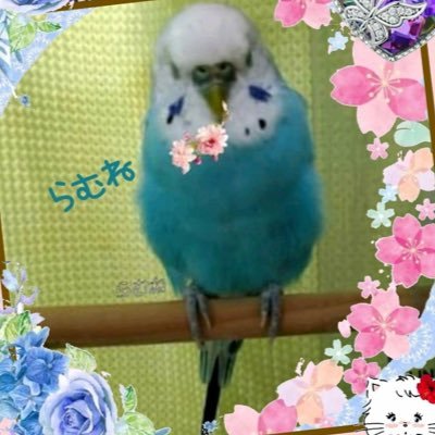 らむね らむね (@_Rmnyan) / X