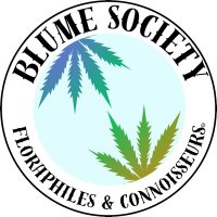 The Blume Society(@blumesociety) 's Twitter Profile Photo